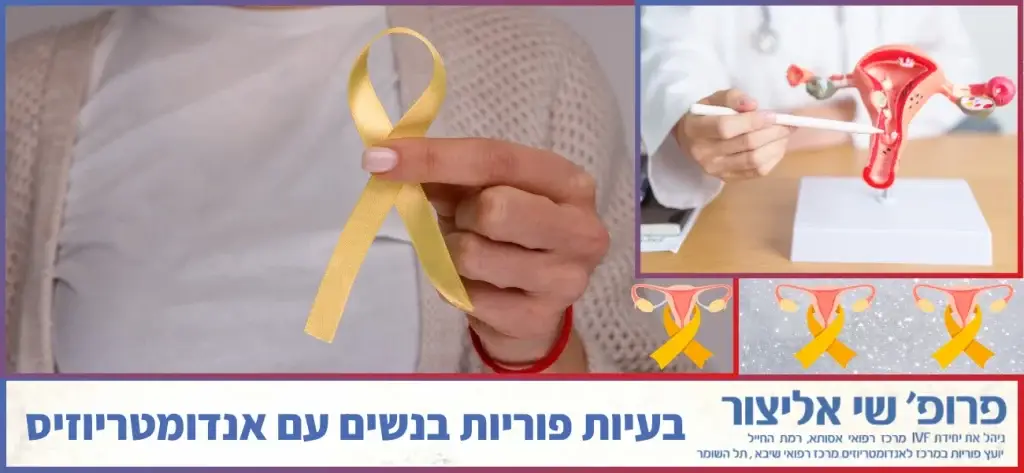 בעיות פוריות בנשים עם אנדומטריוזיס