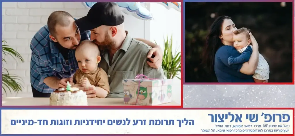 תרומת זרע אצל נשים יחידניות וזוגות חד-מיניים