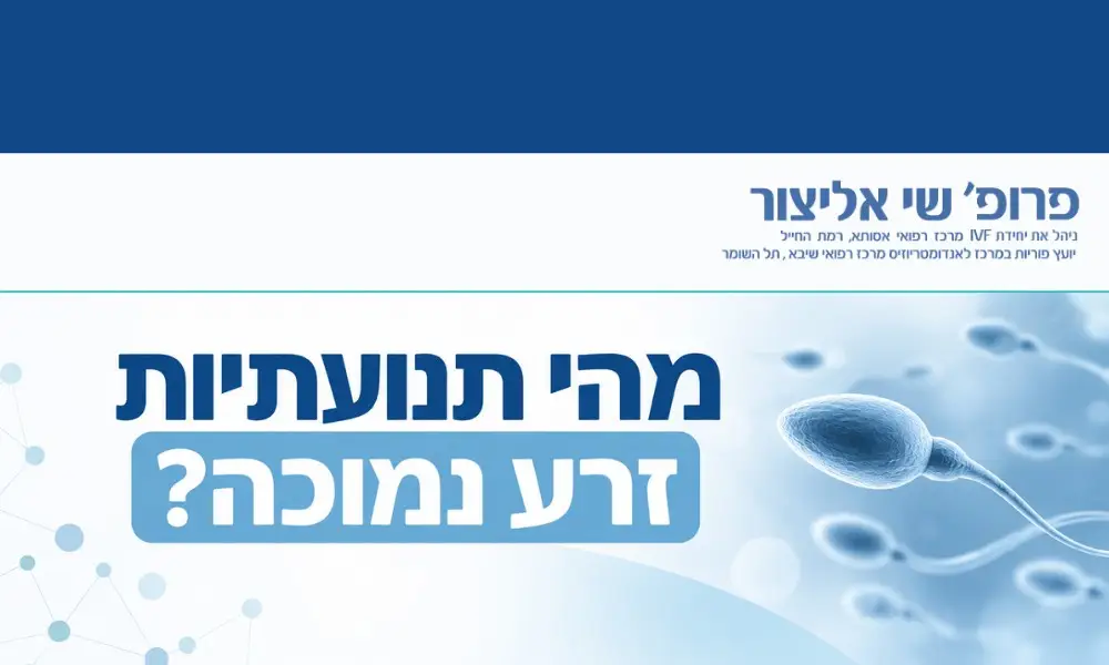 תנועתיות זרע נמוכה